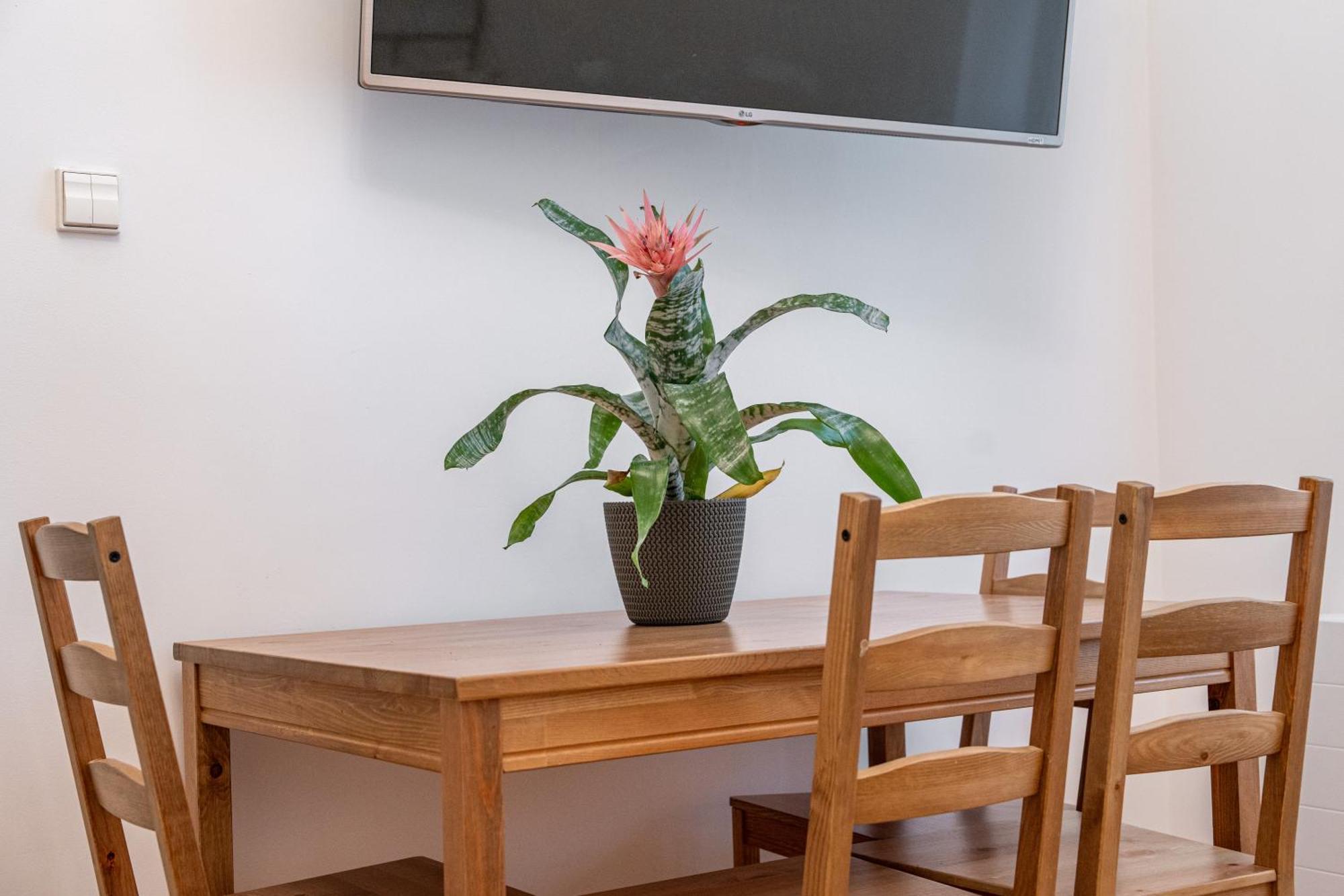 Apartament Sleepwellpl Kraków